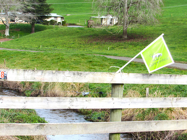 Fence Over Stream.