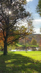 Autumn by the lake