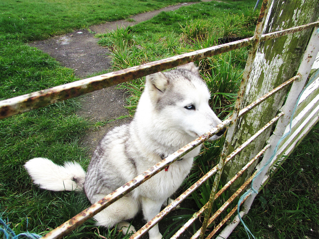 Let Me Out, Please!