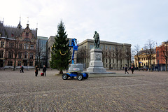 Dressing down the Christmas tree