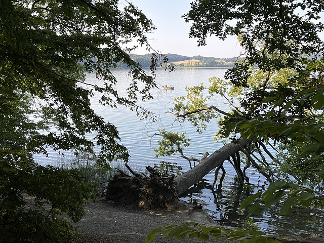 DE - Glees - Laacher See