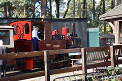 sawrlmtsep92023 (1023)