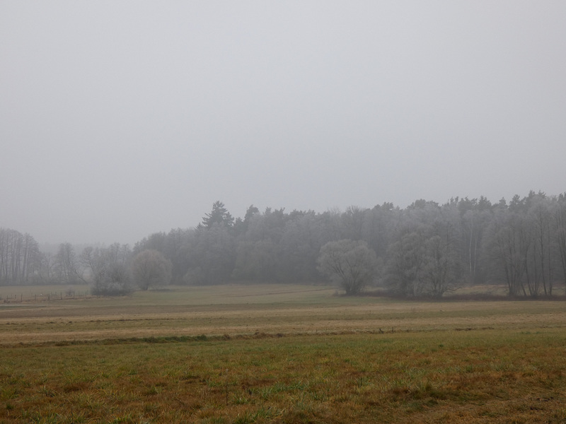 Nebel-Landschaft