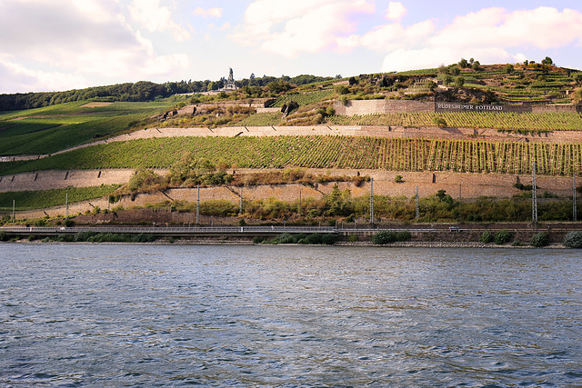 Rüdesheim am Rhein und das Niederwalddenkmal