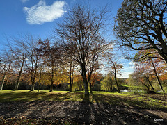 Autumn colours