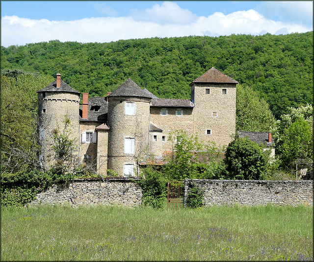 Villemoirieu (38) 3 mai 2019. Maison forte de Mallin.