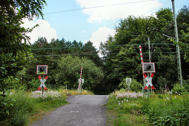 Bahnübergang im Wald (Dortmund-Westerfilde) / 11.07.2020