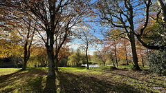 Autumn colours