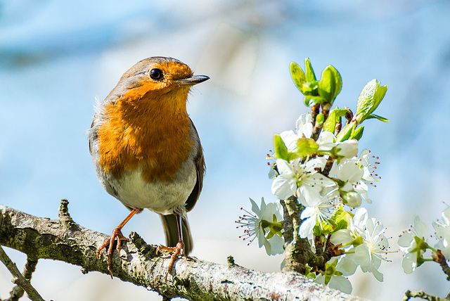 Posing - 20150411