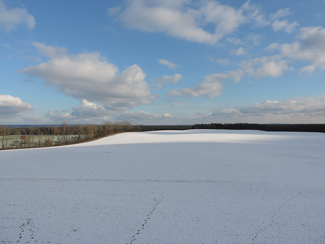 Blick vom Aussichtsturm der Gipsbrüche