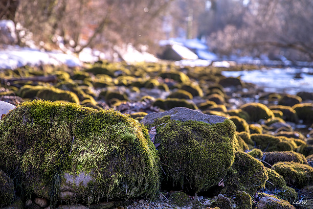 River Mangfall ++ Mangfalllicht