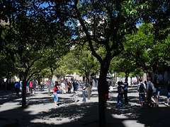 Plaza Dona Elvira