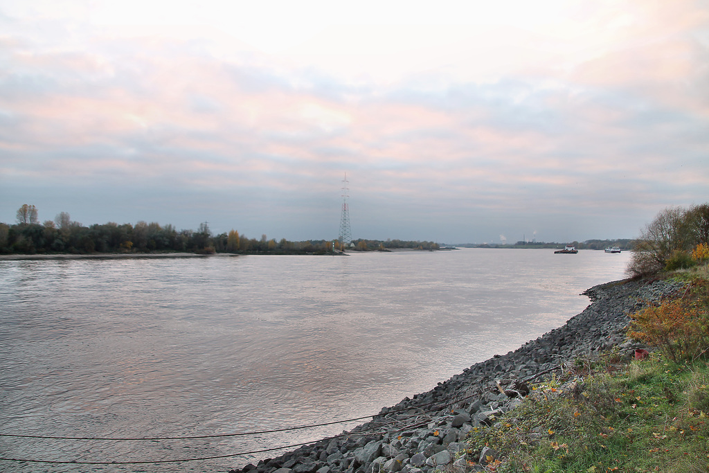 Der Rhein bei Götterswickerhamm (Voerde) / 19.11.2022