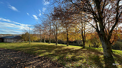 Autumn