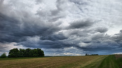 There's a dark cloud rising....