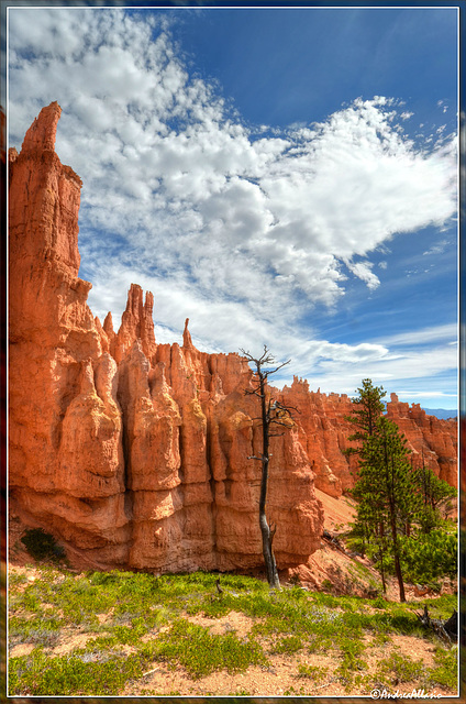 South hall, Bryce canyon