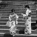 Jeunes filles de Kyoto (4)