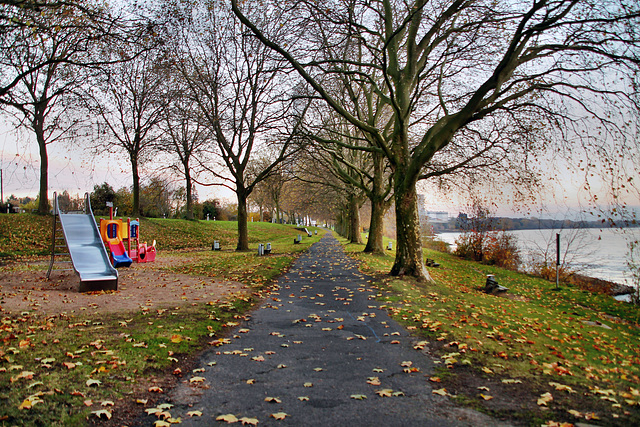 Rheinpromenade (Voerde-Götterswickerhamm) / 19.11.2022