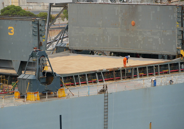 Loading Wood Chips, Albany, Australia