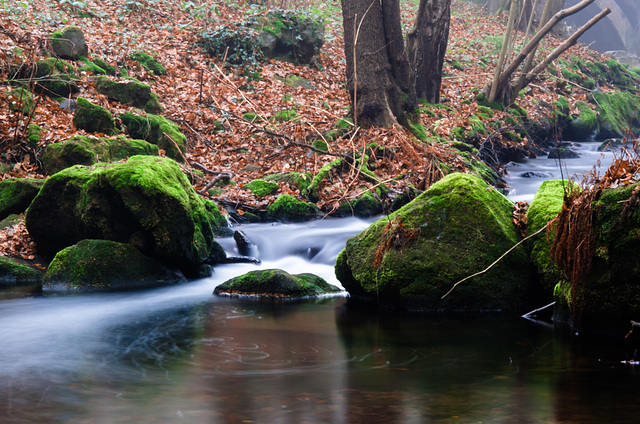 Kleiner Fluss im Erzgebirge