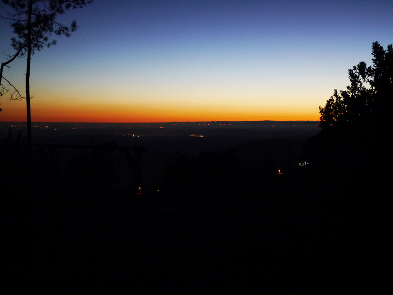 Sweet New Day
