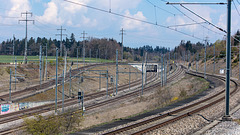 210420 Mattstetten 1