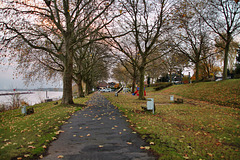 Rheinpromenade (Voerde-Götterswickerhamm) / 19.11.2022