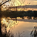 Dutenhofener See