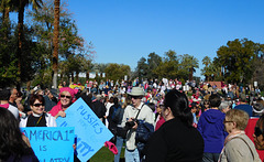 Palm Desert anti-Trump (#0302)