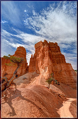 Challenging the sky, Bryce