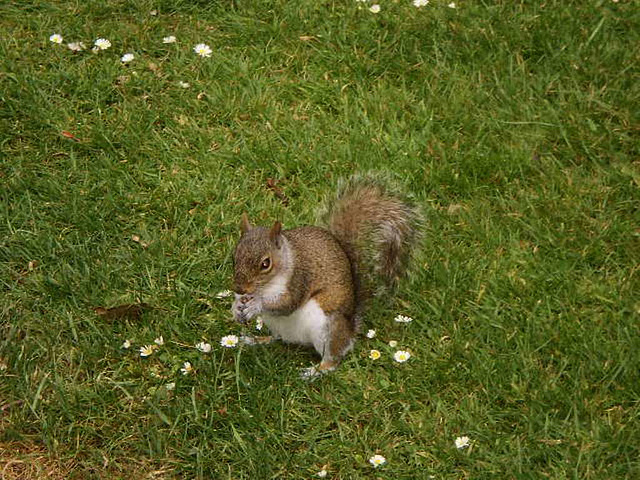 Enjoying a snack.