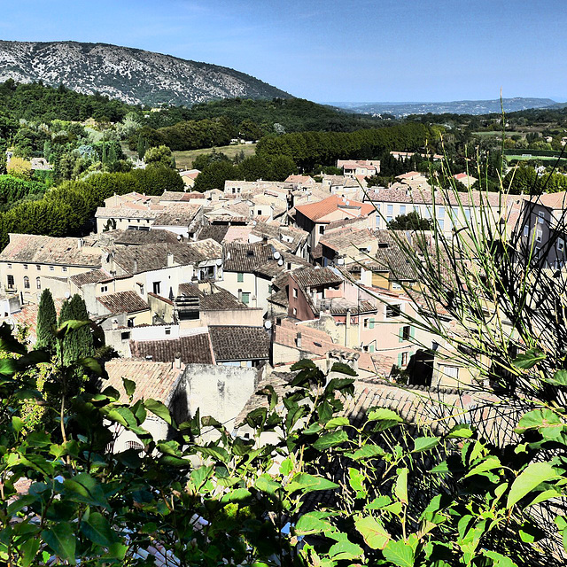 Vue de Malaucène depuis la Colline du Calvaire (1)