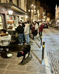 Perugia 2024 – Porchetta stall