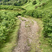 Down the hill to Elterwater