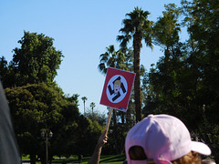 Palm Desert anti-Trump (#0307)