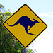 watch out for Kangaroos