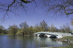 Centre Island Bridge ... P.i.P.  (© Buelipix)