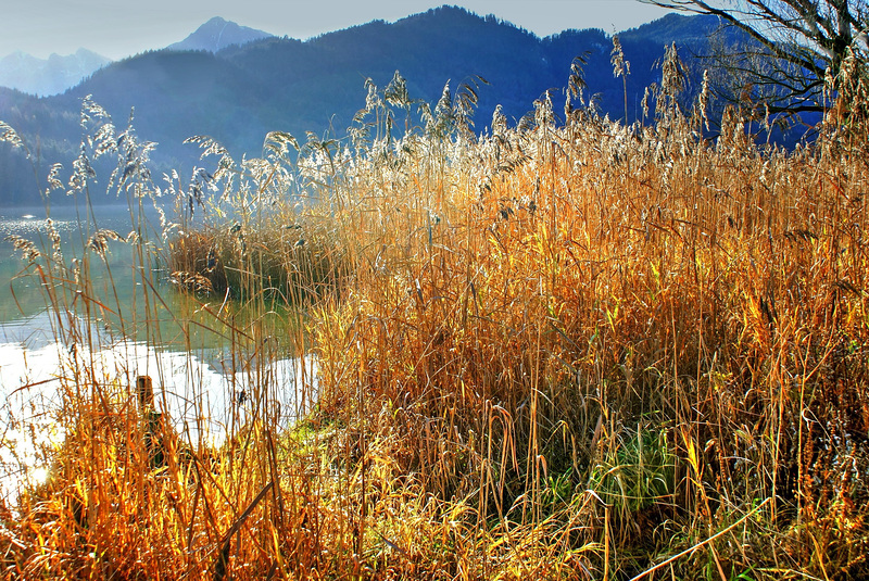 Herbst am See. ©UdoSm