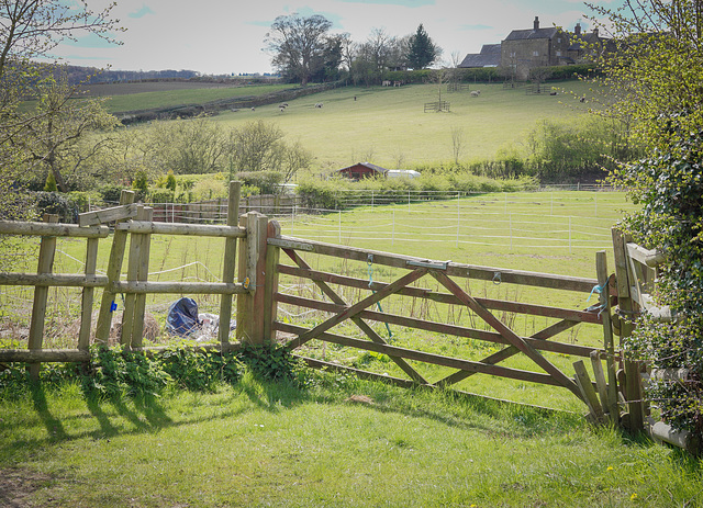 Across the meadow.. 'Ridgeway' south Sheffield.