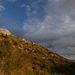 20241214 Pommiers Balcon bois Calo rouge (cirque Navacelles) (39)