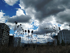 Nubes de otoño, 2