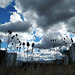 Nubes de otoño, 2