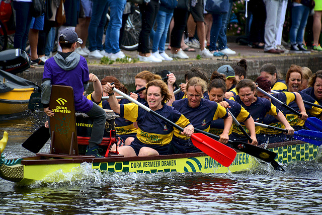 Dragonboat races