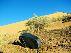 Meteorit? Könnte passen, aber leider nur ein örtlicher Basalt