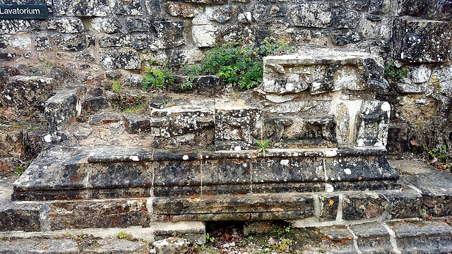 bayham abbey,sussex