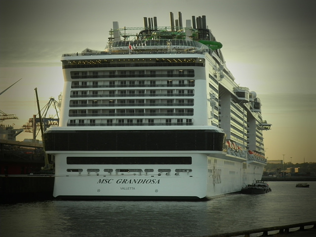 MSC GRANDIOSA