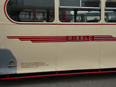 Preserved former Ribble DCK 219 at the Stagecoach Morecambe garage open day - 25 May 2019 (P1020318)