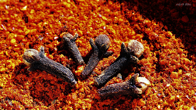 Clous de girofle sur piment- Cloves like hot pepper