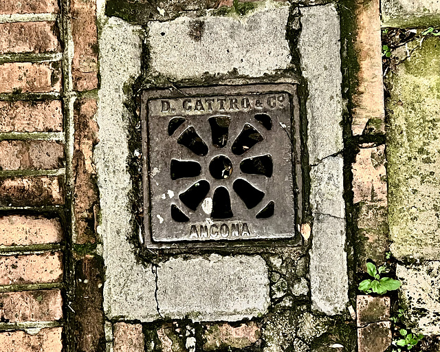 Perugia 2024 – Drain cover of D. Cattro & Co