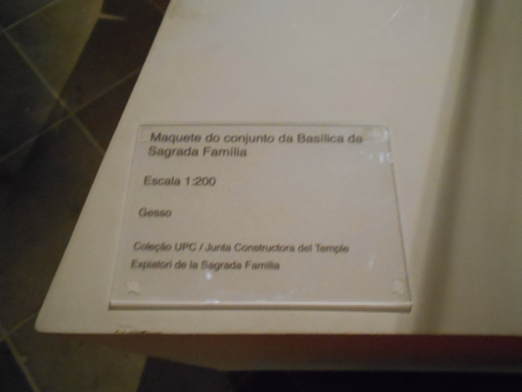 DSCN0847